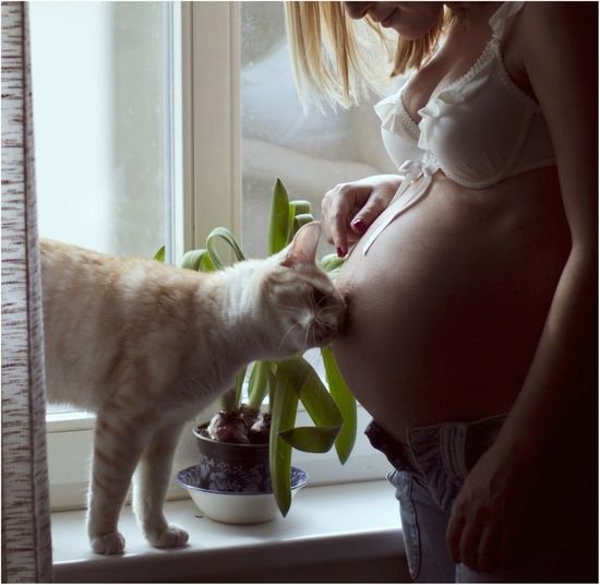 Toxoplasmosi in gravidanza